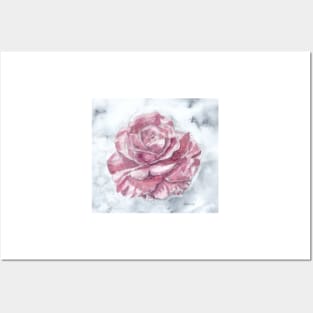 Rose blossom Posters and Art